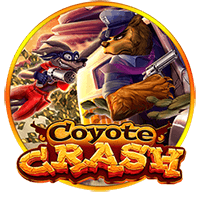 Coyote Crash